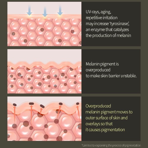 Vita-C Radiance Serum - Image 5